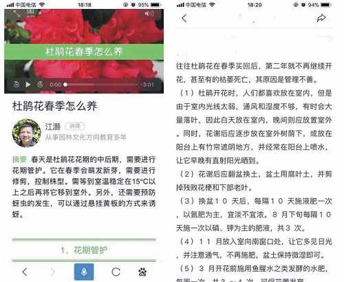 seo推廣技巧之:利用熊掌號提升用戶訪問量的案例解析