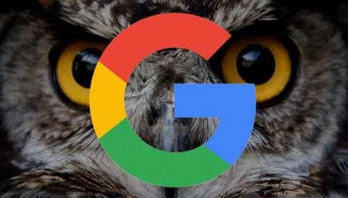 谷歌猫头鹰算法