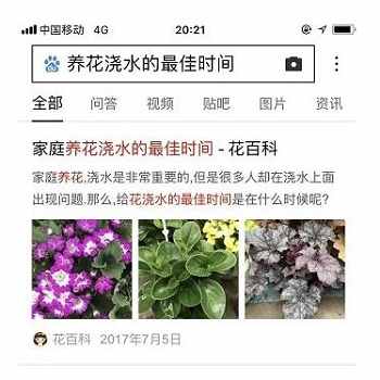 搜索结果出图样式案例