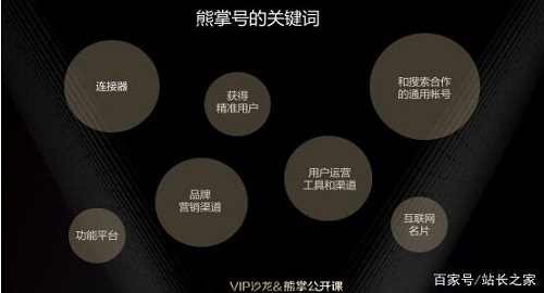 网站seo优化为什么要注重对熊掌号的运营