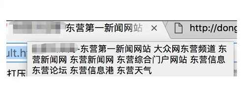 在标题中多次重复、过度堆砌关键词作弊案例